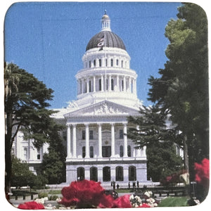 Leather Coaster "Capitol"